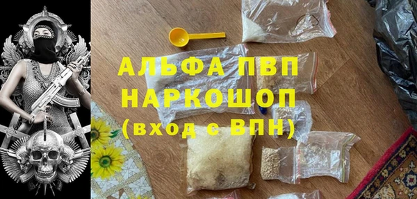 молекула духа Новозыбков