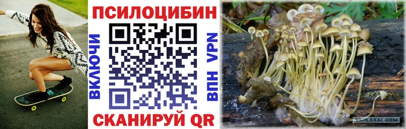 Псилоцибиновые грибы Psilocybine cubensis  купить наркоту  Нягань 