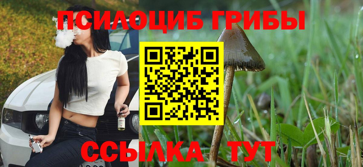 Галлюциногенные грибы Magic Shrooms Нягань