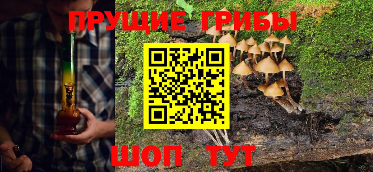 Псилоцибиновые грибы Psilocybe  Нягань 