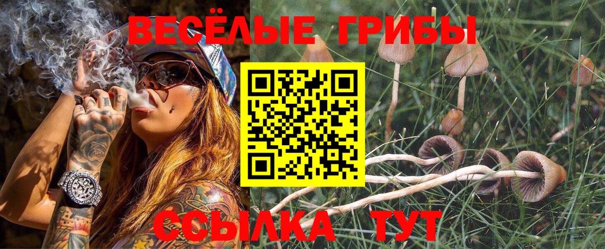 Нягань  Псилоцибиновые грибы мухоморы  Вход с VPN 